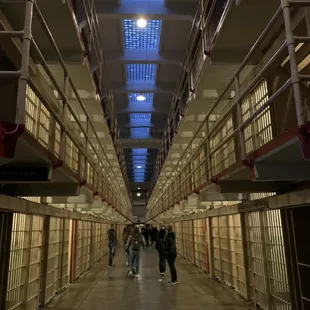 We recommend the Alcatraz night tour!