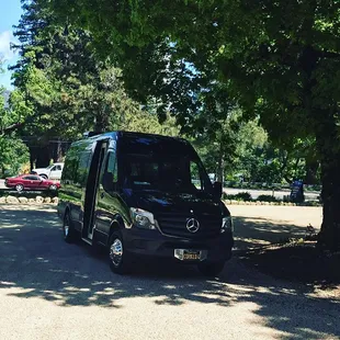 Under a big oak tree at castelo di amarosa