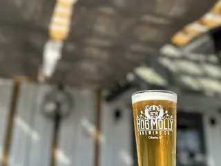 Hog Molly Brewing