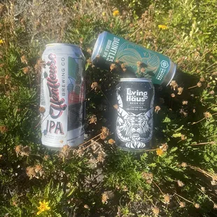 Beers in the bush.
