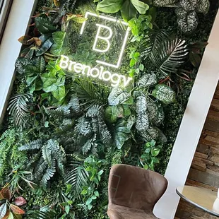 Decor