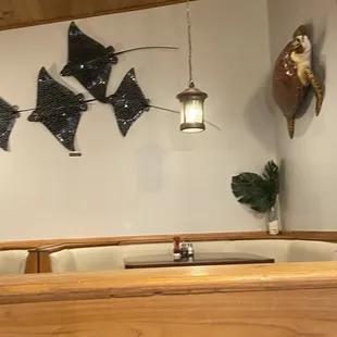 Taxidermy fish everywhere