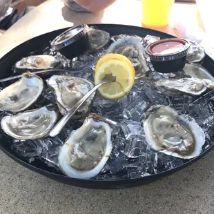 Raw Oysters