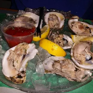 a platter of oysters