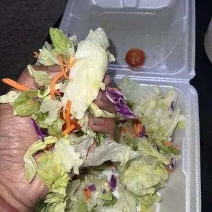 Supposedly a garden salad . It has nothing in it from the description. Are you serious?