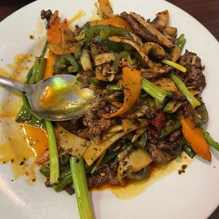 Chengdu Spicy Beef