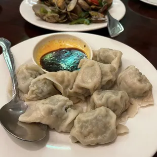 Chinese Classic Dumplings