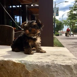 Gotta love when we make new friends