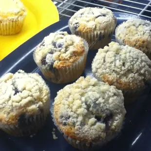 Blueberry muffins