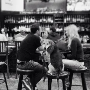 Great neighborhood bar... Nice indoor/outdoor ambiance... And fun fir the puppies too!