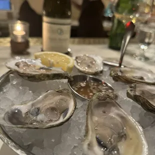 oysters, food, oysters and mussels, shellfish, mussels