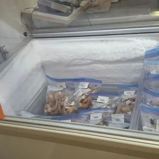 a display of crab shells