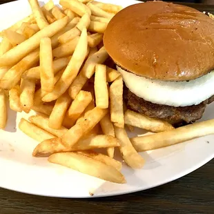 Hamburger &amp; fries
