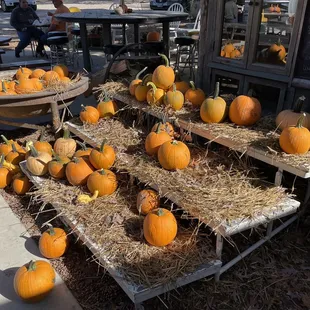 a display of pumpkins