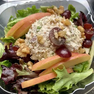 Chicken Salad