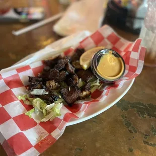 Gator Bites Too!