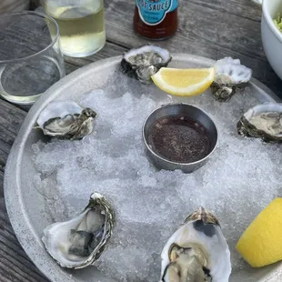 Oysters