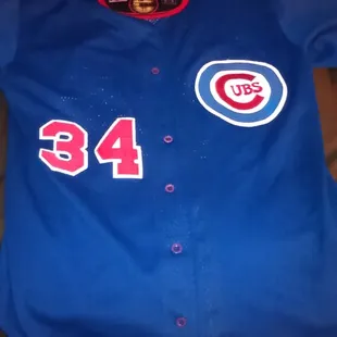 a chicago cubs baseball jersey and cap