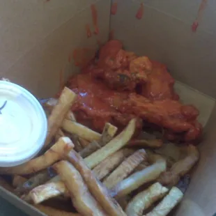 Hot wings and fries