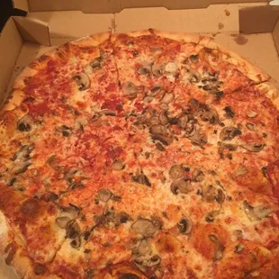 Mushroom pizza
