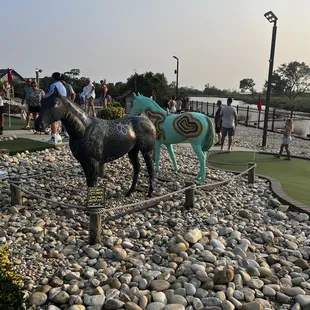 Corolla horse