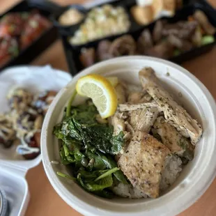 Mahi Mahi Fish Bowl