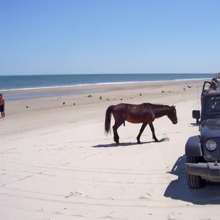 Too close for comfort