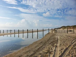 Back Country Safari Tours