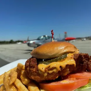 a chicken sandwich and french fries