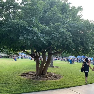 Free Concerts &amp; Free Parking Every Thursday 7-9 PM in July 2019 @ Corona Concerts in the Park