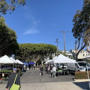 this is just half of the market! but everything you need is here!!