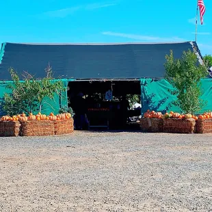 a display of pumpkins and other produce
