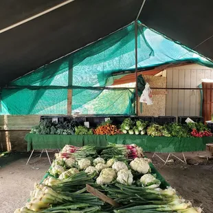 a table of vegetables under a tent