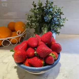 Late January Strawberries