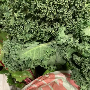 Kale