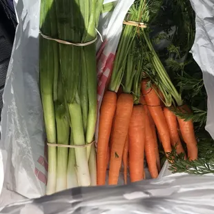 Green onion and carrots