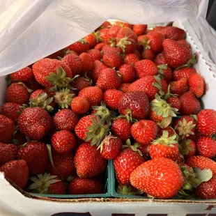 The best strawberries