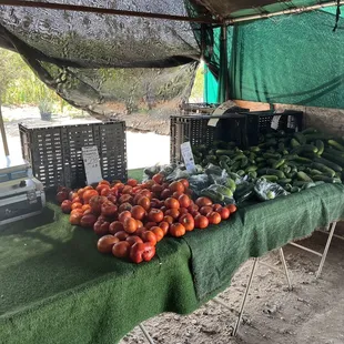 Pickling cucumber, regular cucumber and heirloom tomatoes.