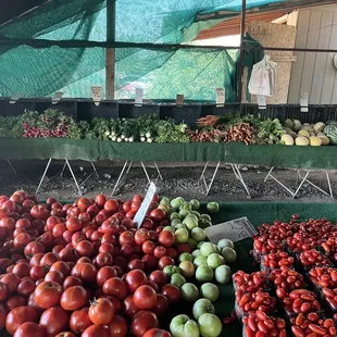 Layout of all the produce