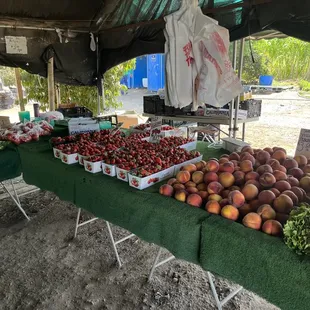 Layout of all the produce