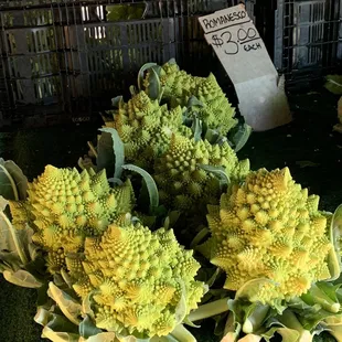 "New" veggie offering