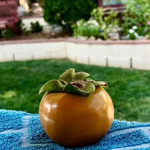 a persimmon on a blue tablecloth