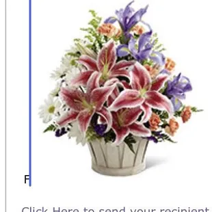 This is what they were supposed to be. So very disappointing.