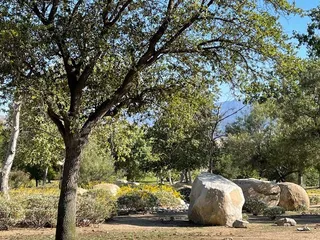 Rock Vista Park