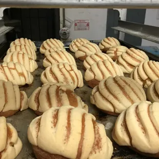 a tray of freshly baked cookies