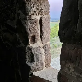 Peeking out of the window