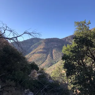 Mountains