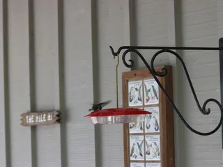 Ramsey Canyon Preserve