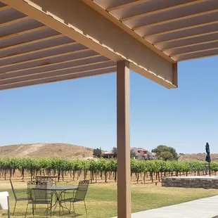 view from patio of tasting room