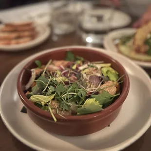 Snails in the garden